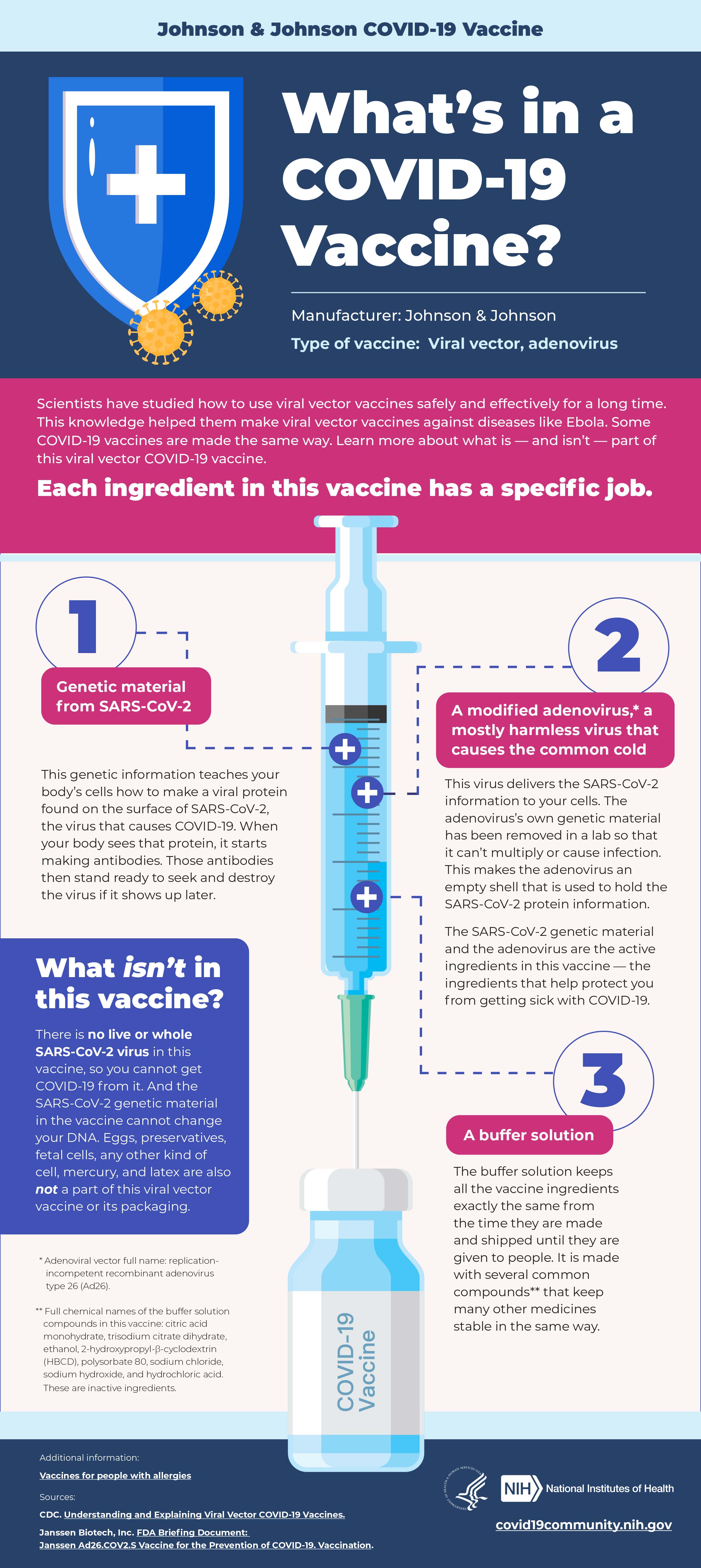 Infographic "What's in a Covid-19 Vaccine"