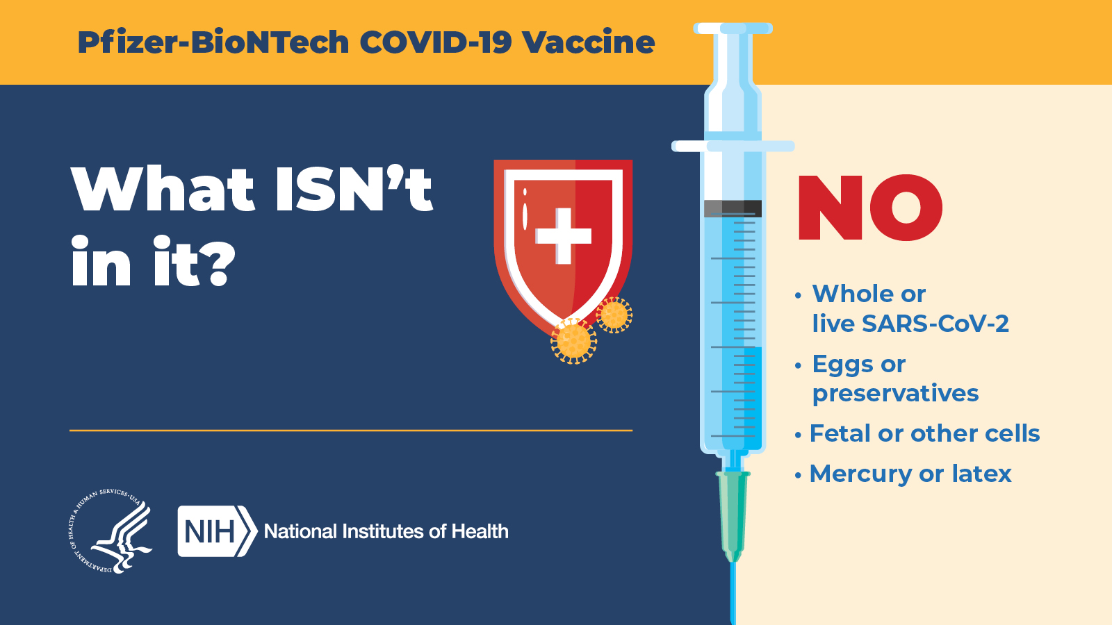 Pfizer-BioNTech COV ID-19 Vaccine  |  What isn't in it?  |  NO: Whole or live SARS-CoV-2, Eggs or preservatives, fetal or other cells, mercury or latex