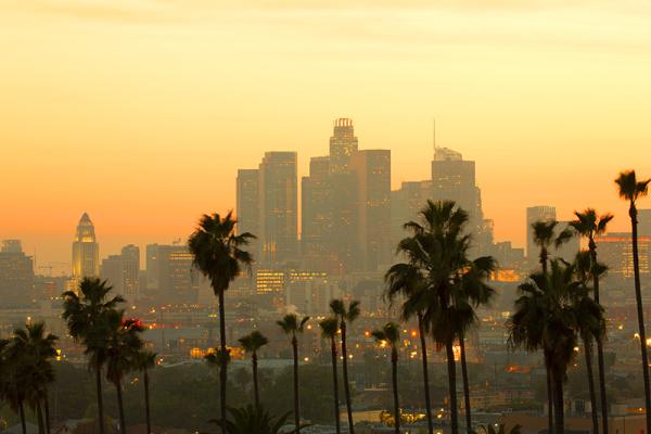 cityscape with pal trees